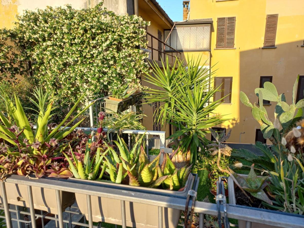 The Jasmine Terrace Retreat — Photos 1